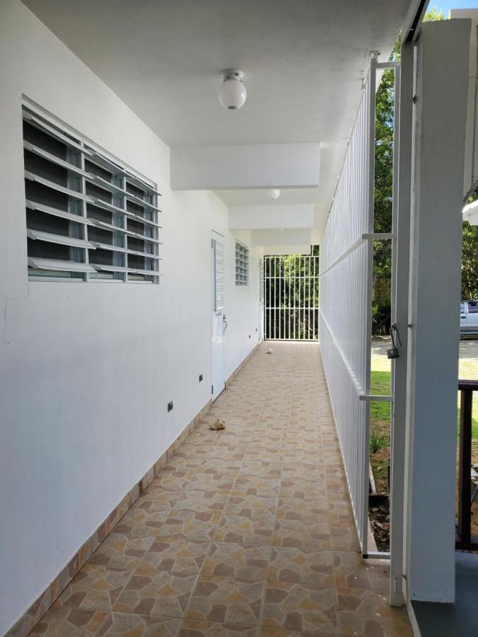 Crab Island Adventures Apartments Vieques Eksteriør billede